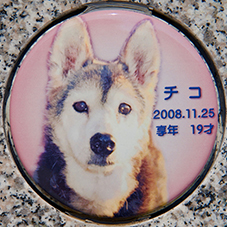 animal-memorial_19